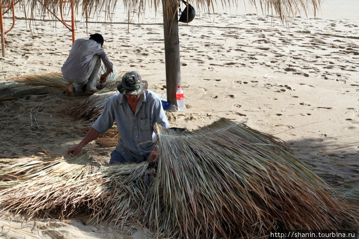 Прямо на пляже плетут стены из тростника Нячанг, Вьетнам