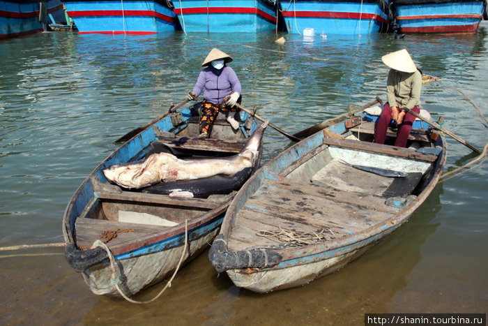 Две рыбачки на двух лодках Нячанг, Вьетнам