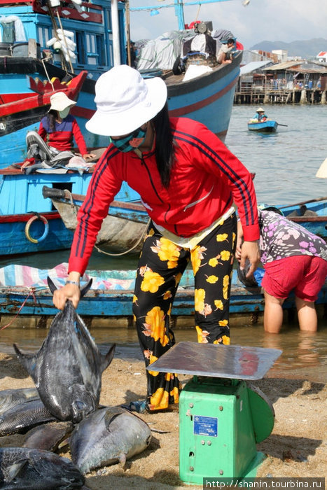 Рыбачка с тунцом Нячанг, Вьетнам