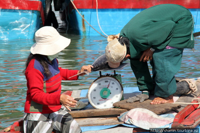 Взвешивается свежая рыба Нячанг, Вьетнам
