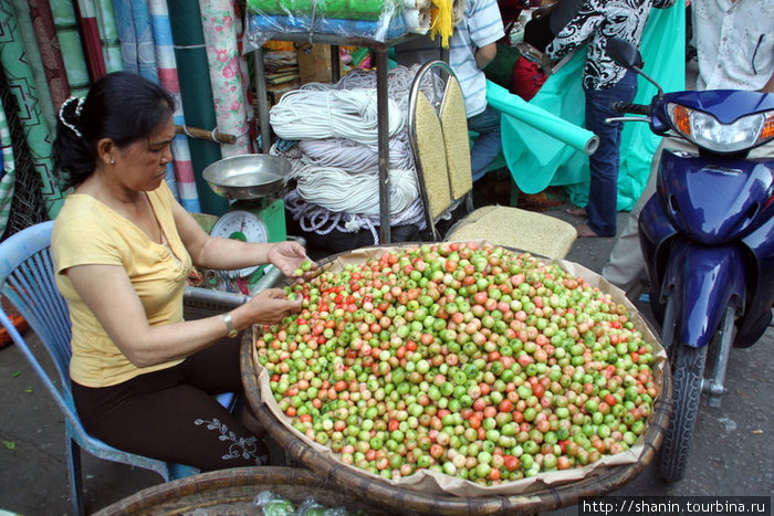 Продавщица фруктов Тяудок, Вьетнам