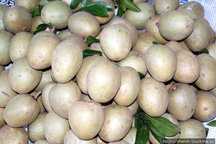 Тропический фрукт Тяудок, Вьетнам