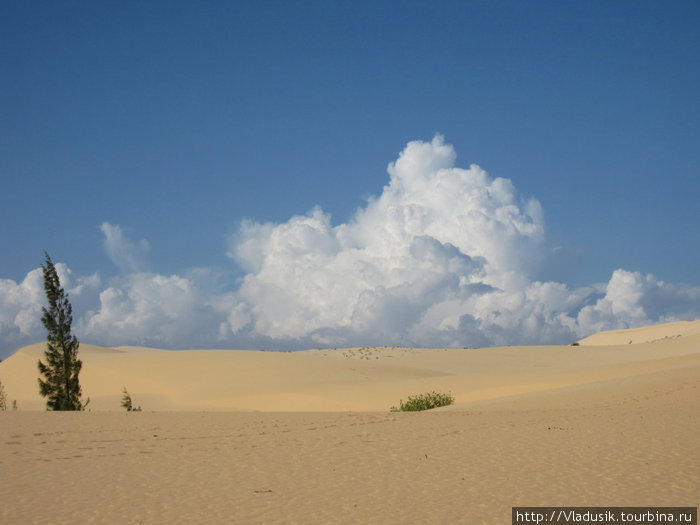 Песчаные дюны Муй-Не, Вьетнам