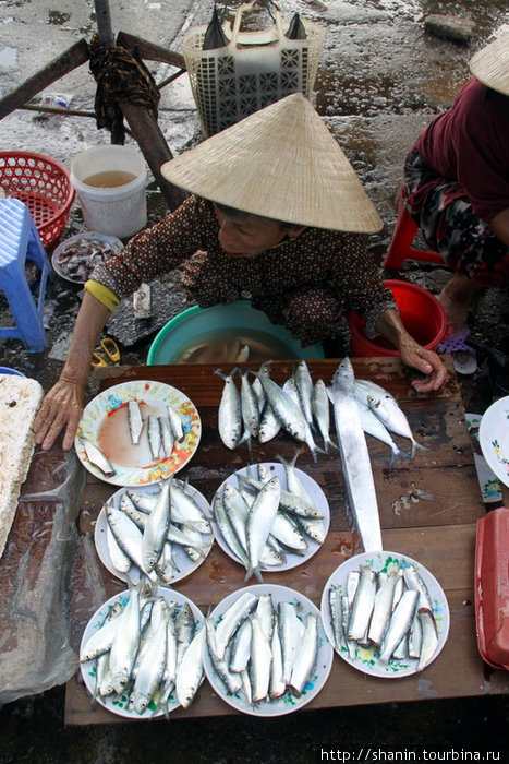 Рыба на прилавке Хойан, Вьетнам