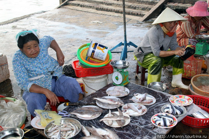 Рыбный рынок Хойан, Вьетнам
