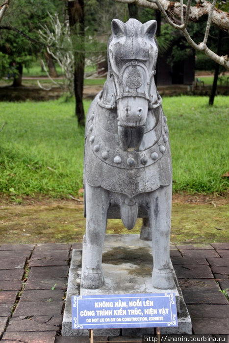Лошадь Хюэ, Вьетнам