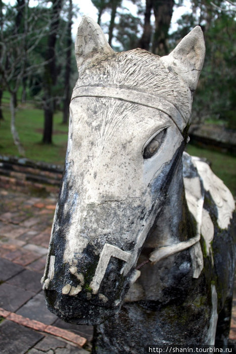 Морда каменной лошади Хюэ, Вьетнам