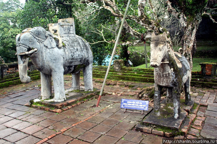 Слон и лошадь Хюэ, Вьетнам