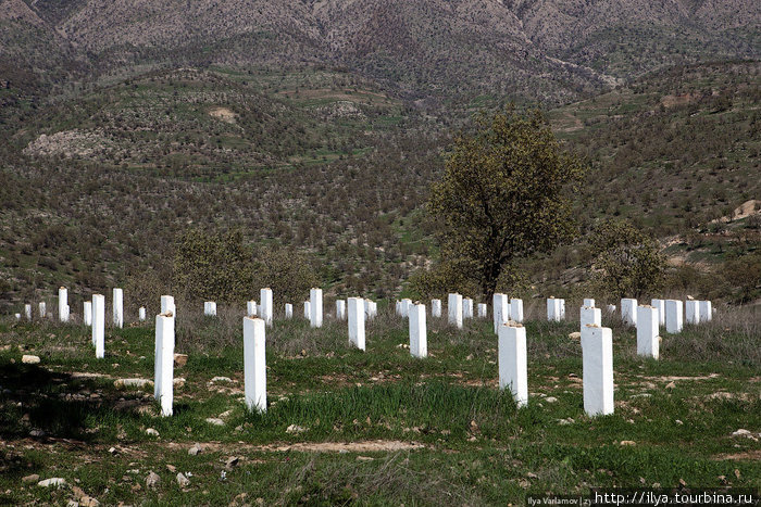 А это кладбище, где захоронены члены семьи Барзани. Во время операции Анфаль из села Барзан люди Саддама вывезли 5000 членов семьи Барзани и 9000 мирных жителей на грузовиках в Багдад, где расстреляли Ирак