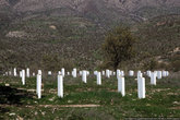 А это кладбище, где захоронены члены семьи Барзани. Во время операции Анфаль из села Барзан люди Саддама вывезли 5000 членов семьи Барзани и 9000 мирных жителей на грузовиках в Багдад, где расстреляли