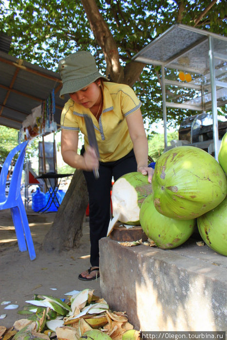 Кокосы- и пища и вода... Камбоджа
