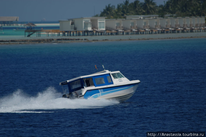 Транспорт на Мальдивах или грезы наяву Мальдивские острова