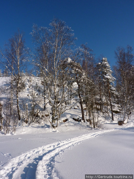Лыжня вдоль скал... Выборг, Россия