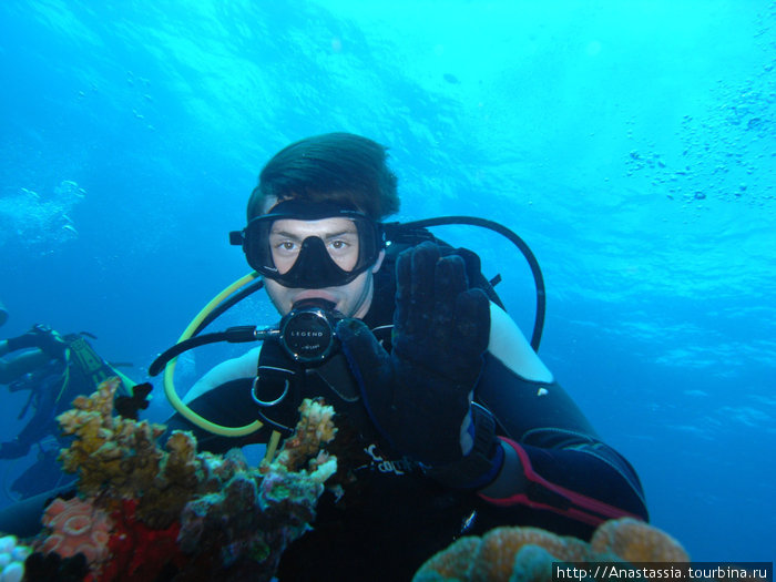 Подводные приколы Мальдивские острова