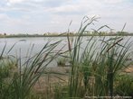 В Новомосковском  городском парке струится ручей, который вытекает из болота, и который принято считать началом Великой реки.