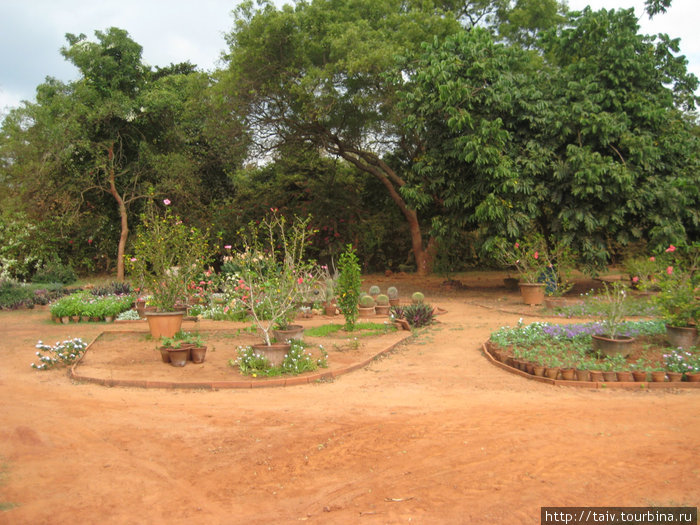 жители Ауровиля — прекрасные садовники Пондишери, Индия
