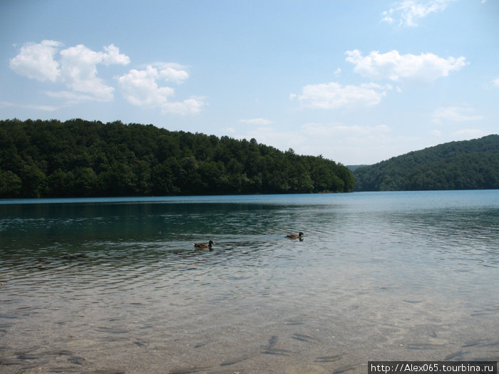 Плитвицкие озера Национальный парк Плитвицкие озёра, Хорватия