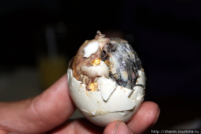 Филиппинский деликатес — яйцо с полусформировавшимся зародышем Банауэ Рисовые Террасы, Филиппины