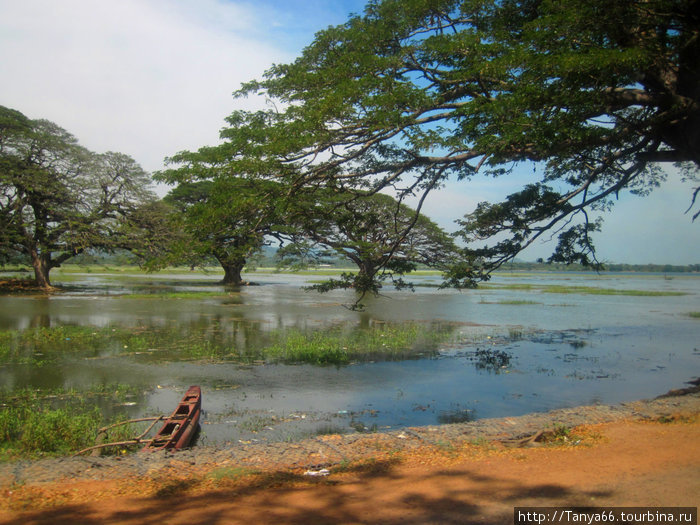 Шри Ланка. Национальный парк Ялла Шри-Ланка