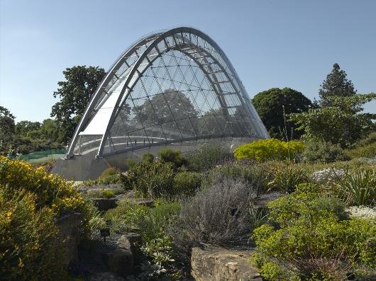 Ботанические сады / Royal Botanic Gardens