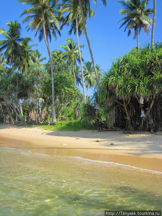 Пейзажи, океан Шри-Ланка