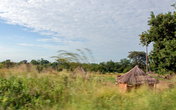 так выглядит большинство деревенских домов в Замбии и соседних странах