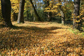 Осень в гатчинском парке.