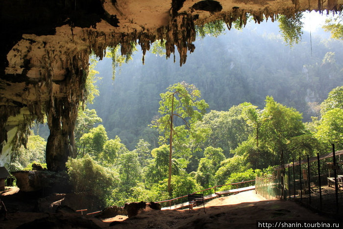 Выход из Великой пещеры Мири, Малайзия