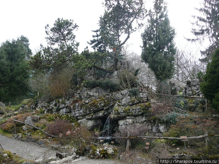 Ботанический сад Женева, Швейцария