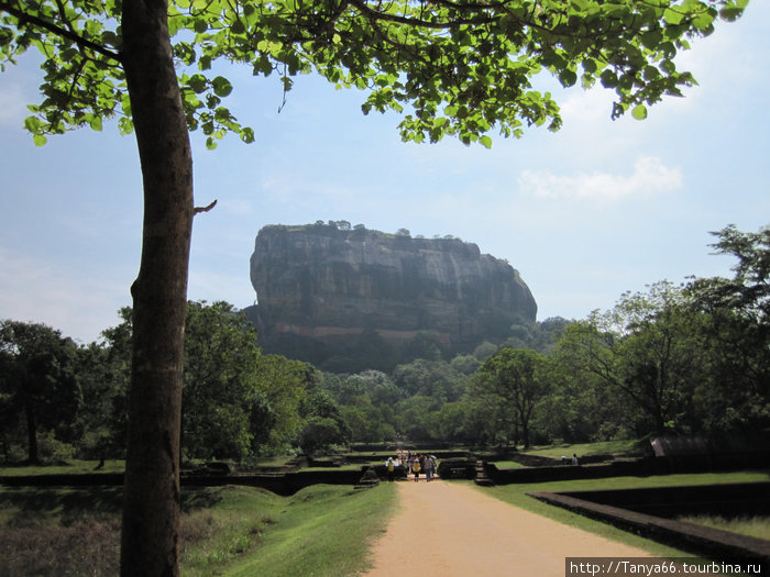 Сигирия («львиная скала») — скальное плато, возвышающееся на 370 метров над окружающей равниной. С 1982 г. Сигирия состоит под охраной ЮНЕСКО как памятник Всемирного наследия. Шри-Ланка