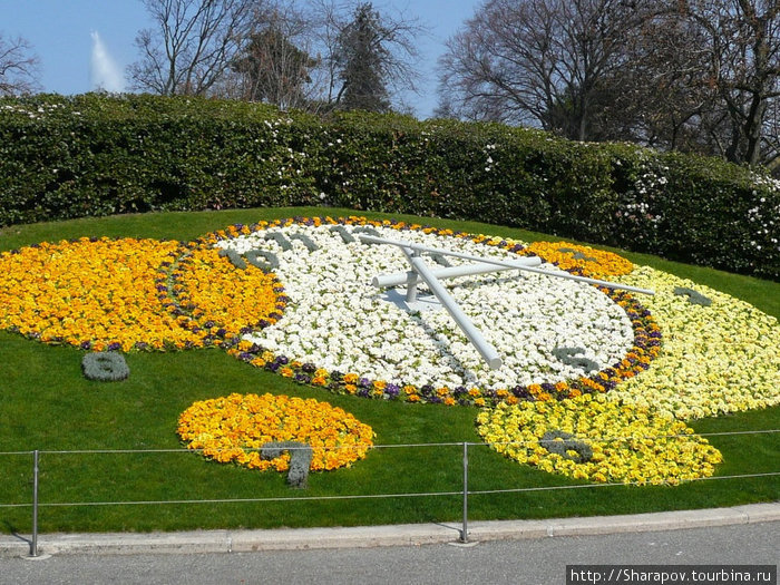 Цветочные часы Женева, Швейцария