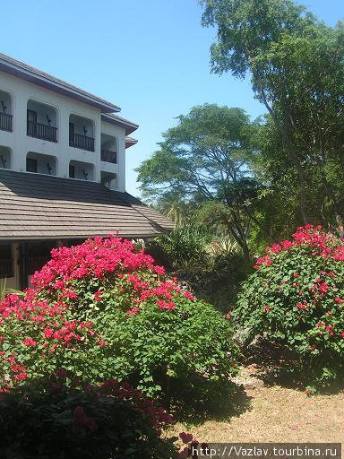 Вид из окна Укунда, Кения