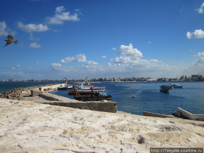 Египет. Александрия Александрия, Египет