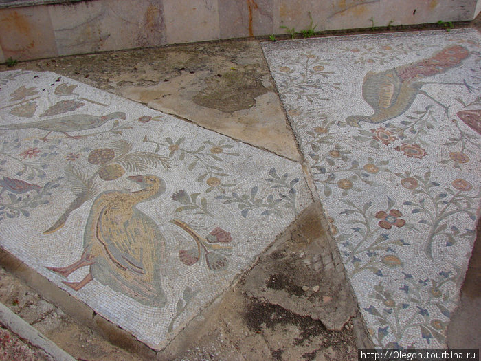 Мозаика на полу Тунис