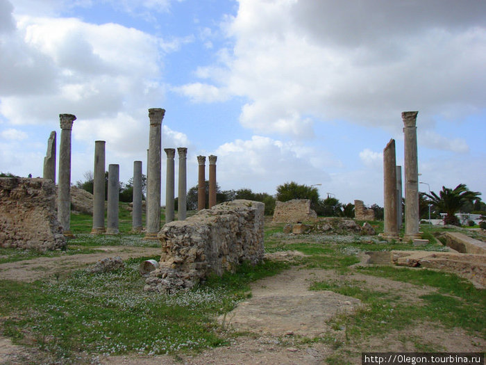 Колонны и камни Тунис