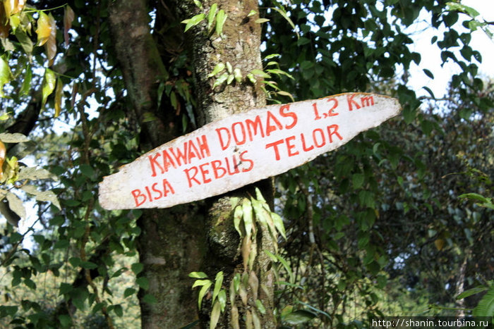 Указатель на нижний кратер — Кавах Домас Бандунг, Индонезия