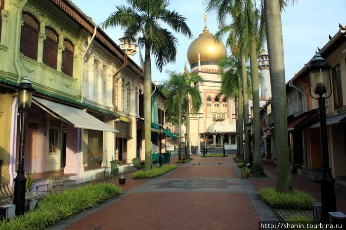 Мечеть Султан в окружении типично китайских домов Сингапур (город-государство)