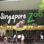 Зоопарк Сингапура / Singapore Zoo