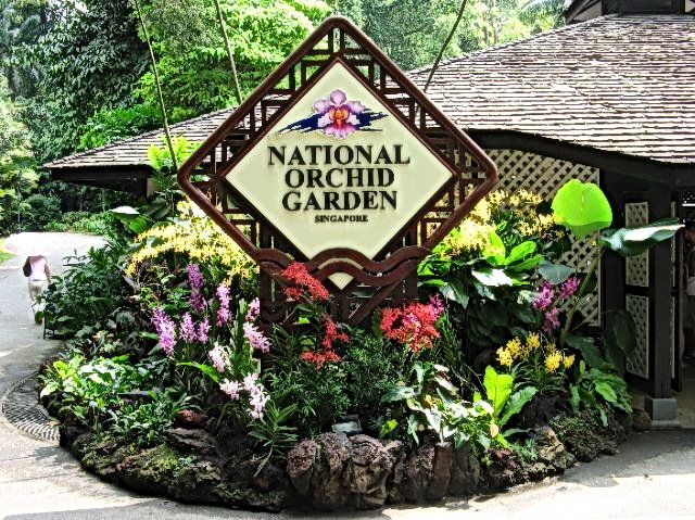 Сад орхидей / Orchid Garden