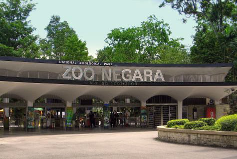 Зоопарк 