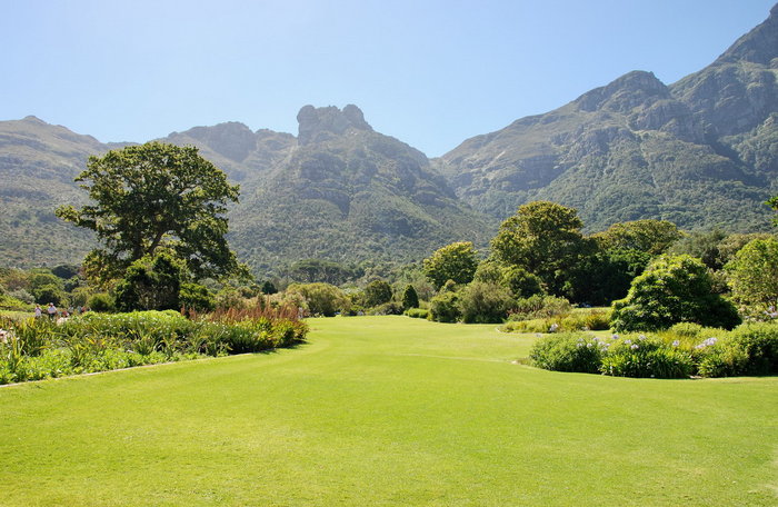 Райские ботанические сады Кирстенбош Кейптаун, ЮАР