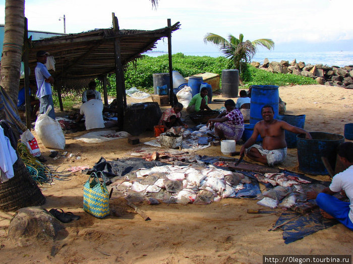 Рыбацкая деревушка на окраине пляжа Негомбо, Шри-Ланка