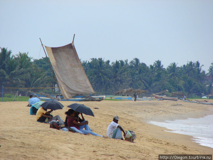 Зонты спасают влюблённых от солнца и лишних взглядов Негомбо, Шри-Ланка