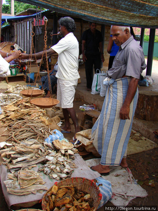 Рынок- достопримечательность города Негомбо, Шри-Ланка