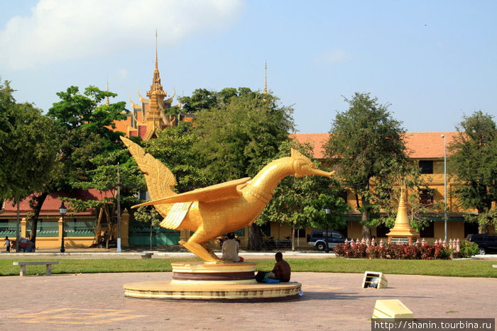 Птица счастья Пномпень, Камбоджа