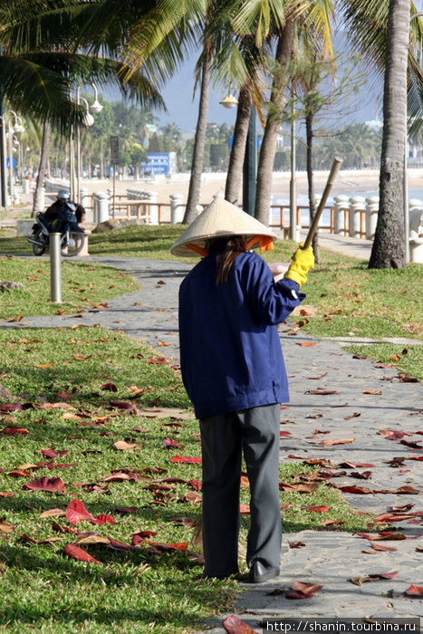 Уборка сухой листвы Нячанг, Вьетнам