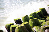 Бетонные блоки защищают песчаный пляж от разрушения