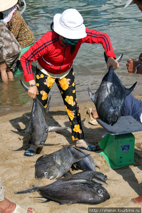 Рыбу надо взвесить Нячанг, Вьетнам