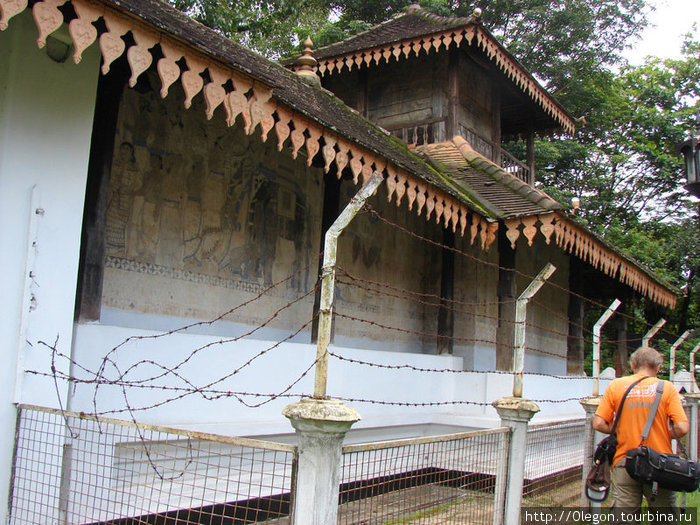 Рисунки на стенах обнесены колючей проволокой Шри-Ланка