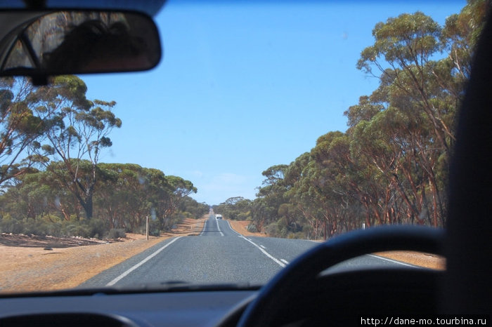 Дорога, уходящая в точку Штат Западная Австралия, Австралия